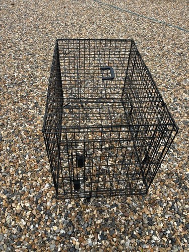 Dog cage puppy - dog, pet