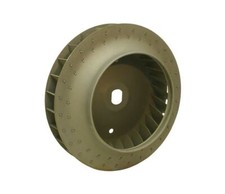 VW Beetle 1971 on Dog House