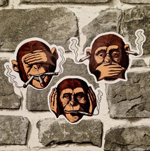 Monkeys see speak - hear, no