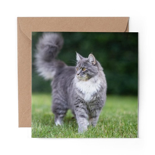 Blank greeting card blue - 1, x