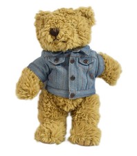 Hard Rock Cafe 'OASIS' Lakeland Penrith? Collectable Teddy Bear