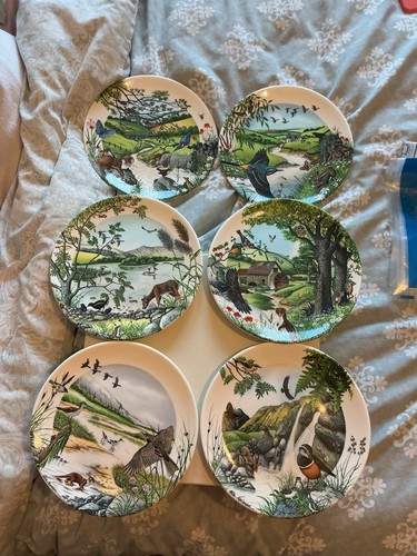 Wedgwood colin newman river - wedgwood, newman's