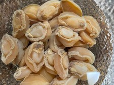 Dried Abalone 干鲍鱼 100g