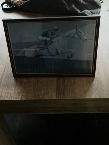 Horse racing framed print - print, of