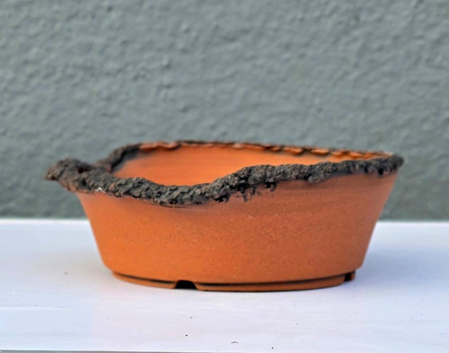 Handmade bonsai pot 14x5cm - bonsai, –