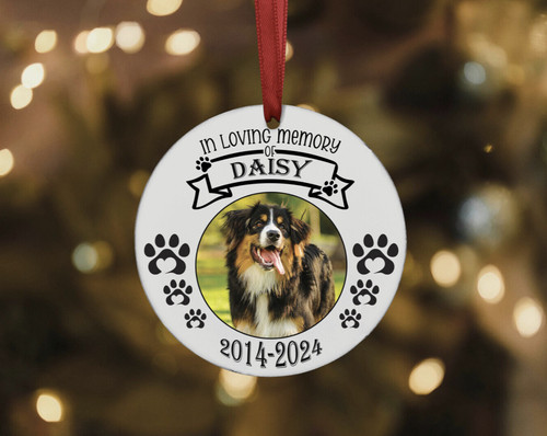 Personalised dog cat pet - cat,