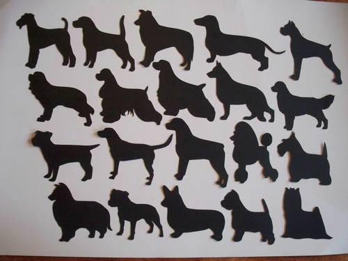 Dog assorted l breeds - assorted,