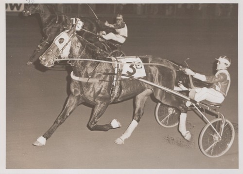 Examiner vernon downs mark - vernon,