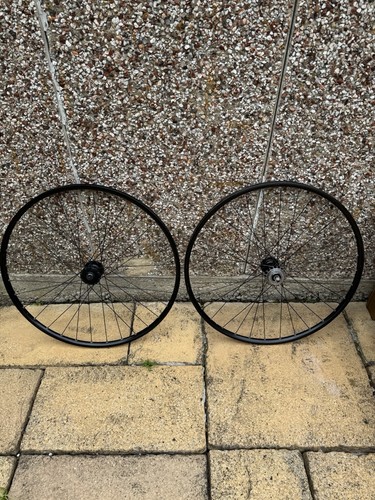 29er single speed - speed, disc