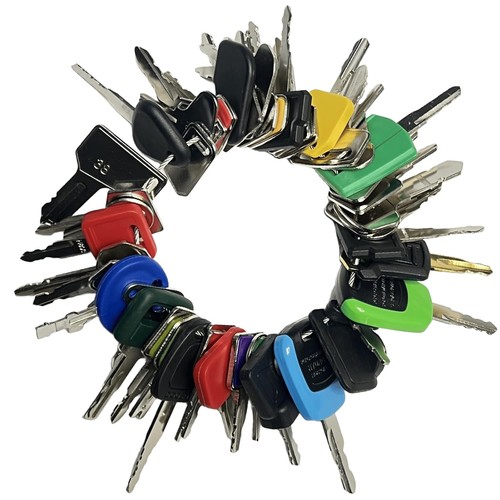50pcs master plant - 50pcs,