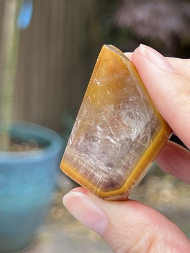 Dreamcoat lemurian seed - lemurian, clear