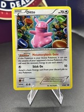 Ditto XY40 XY Holo