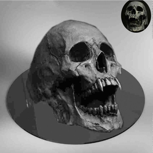 Skull stainless men steel - skull, men's