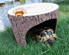 Tortoise Tree Stump Hide