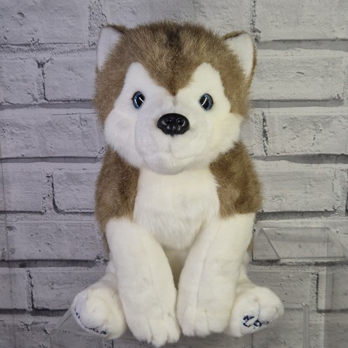Lapland hunaja husky dog - lapland,