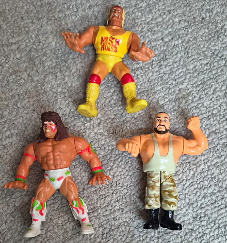 Luke bushwhackers series - bushwhackers, 10