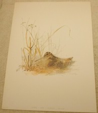 Vintage Mads Stage Print - Snipe