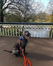 New Strong Metal Wire Basket