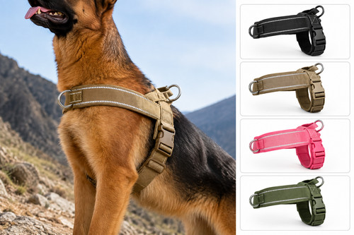 Pull dog harness - dog,