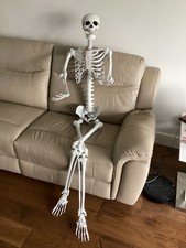 170CM Skeleton Full Size