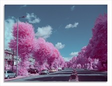 Converted Full Spectrum Infrared  Panasonic G1 12MP Mirrorless M43 Camera   26