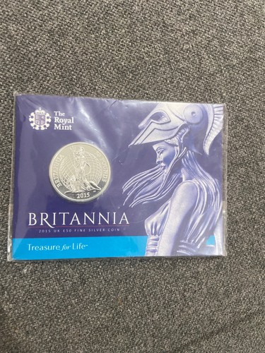 Britania pound coin pure - coin,