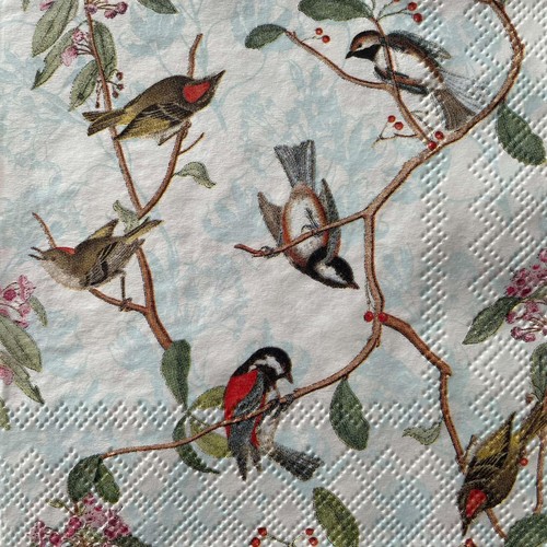 Cocktail paper napkins for - cocktail,