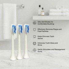 Pure Oral Sonic Replacement