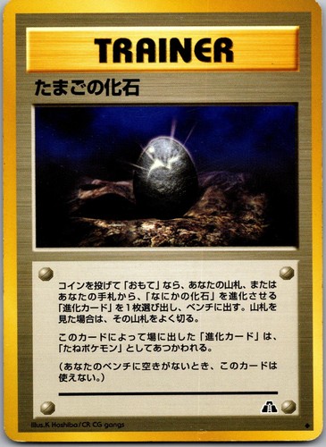 Fossil egg neo discovery - egg,