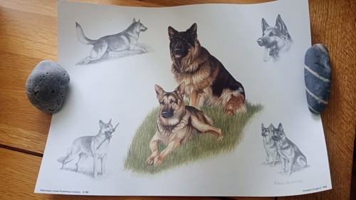 Print nigel hemming - by, hemming,