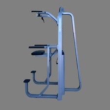 Precor Icarian Assisted Chin