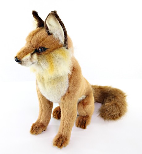 Hansa red fox - hansa,