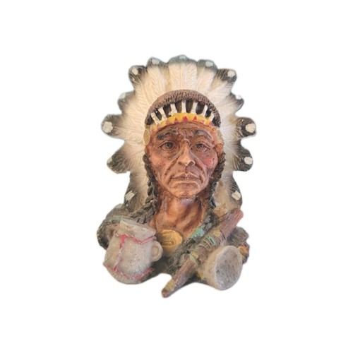 Native american indian chief - native,