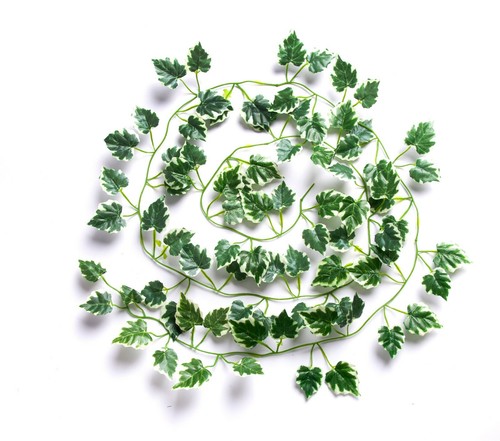 Best artificial variegated - best,