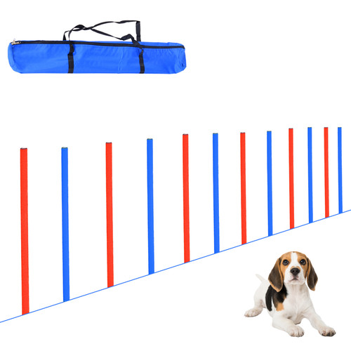 Dog agility training - agility, hoop