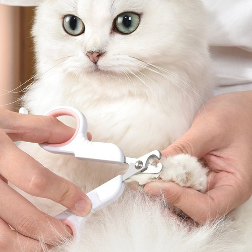 Pet dog nail clippers - pet,