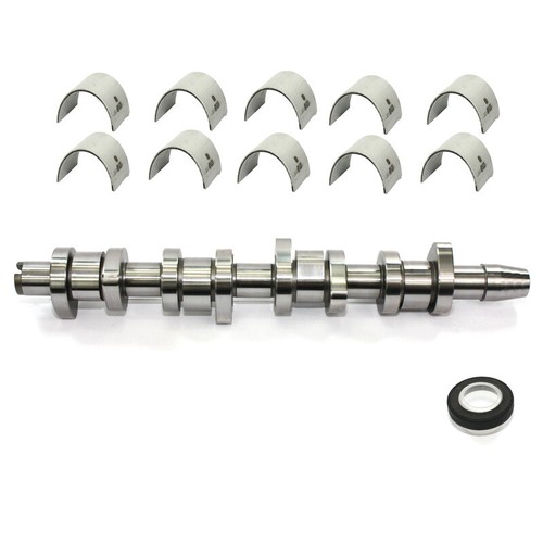 Camshaft cast iron seal - camshaft,