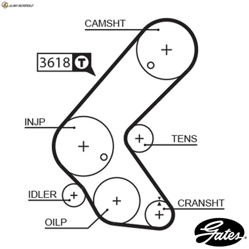 Timing belt 5563xs for - timing,