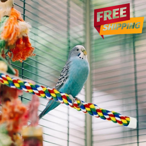 Bird spiral rope - spiral,