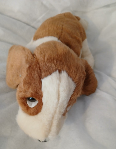 Beanie babies buddies - ty,