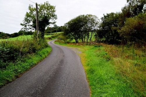Photo 6x4 manse road carony - road,,