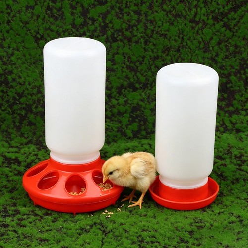 1kg chicken feeder 1 - chicken,