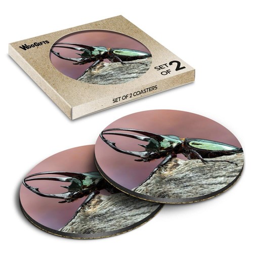 Round mdf coaster atlas - coaster,