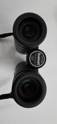 Bushnell 10x42 binoculars used - 10x42,