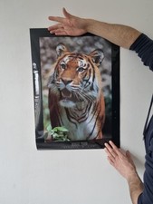 Vintage 90s Bengal Tiger