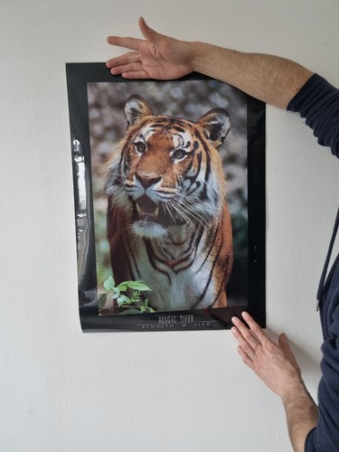 Vintage 90s bengal tiger - bengal,