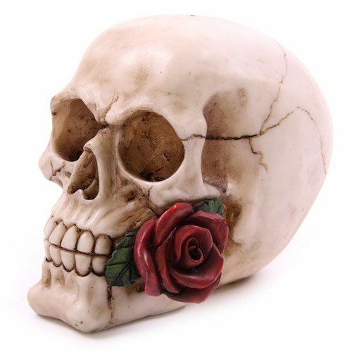 Gothic skull with red rose - red,
