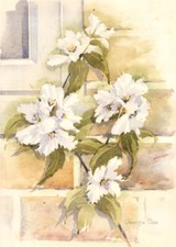 George Cox - Signed 20th