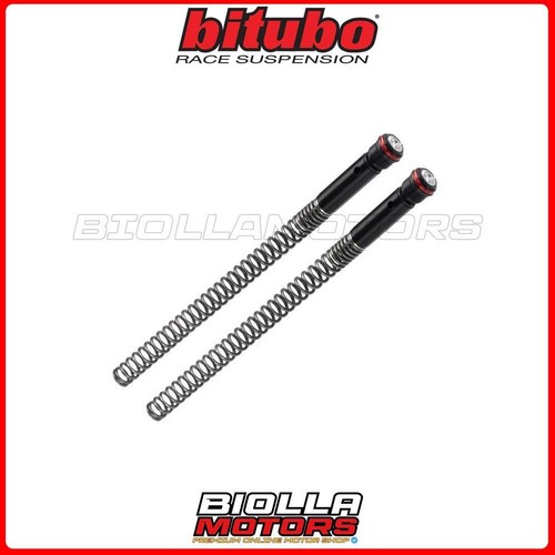 Spring kit twin tube fork - kit,