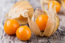 Ground Cherry Fruit *PHYSALIS* 100 Finest Fresh Seeds - Sweet Flavour//UK Seller